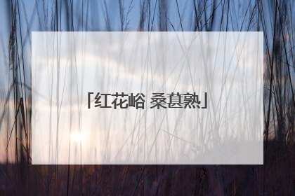 红花峪 桑葚熟