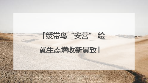 绶带鸟“安营” 绘就生态增收新景致