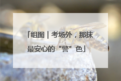 组图｜考场外，那抹最安心的“警”色