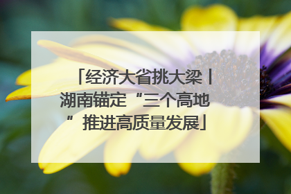经济大省挑大梁丨湖南锚定“三个高地”推进高质量发展
