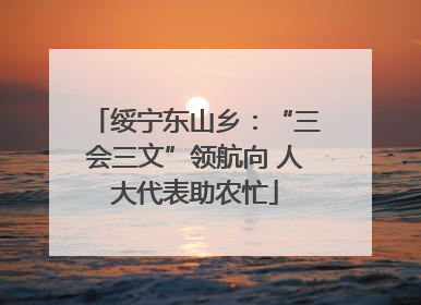 绥宁东山乡：“三会三文”领航向 人大代表助农忙