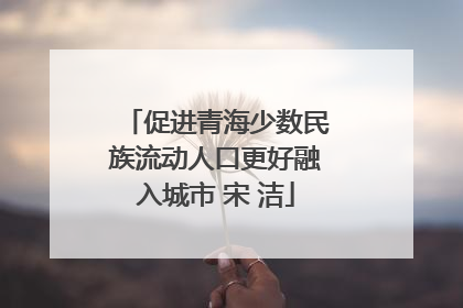 促进青海少数民族流动人口更好融入城市 宋 洁