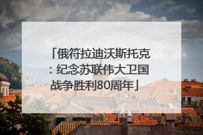 俄符拉迪沃斯托克：纪念苏联伟大卫国战争胜利80周年