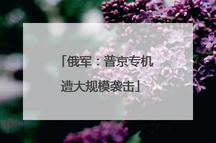 俄军：普京专机遭大规模袭击