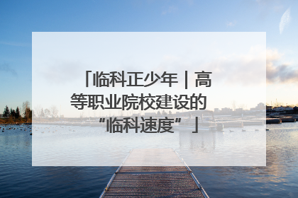 临科正少年｜高等职业院校建设的“临科速度”