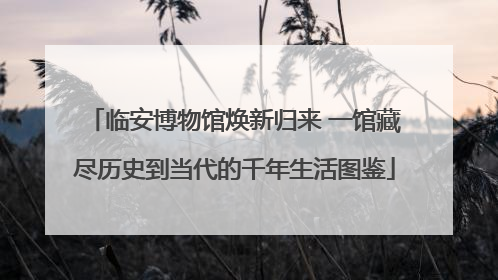 临安博物馆焕新归来 一馆藏尽历史到当代的千年生活图鉴