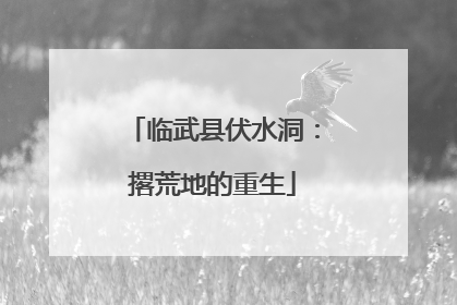 临武县伏水洞：撂荒地的重生