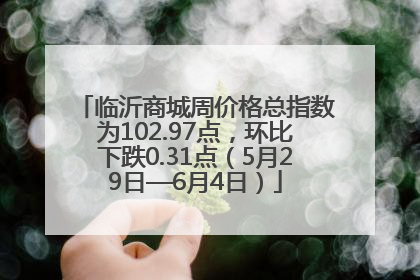 临沂商城周价格总指数为102.97点，环比下跌0.31点（5月29日—6月4日）