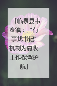 临泉县韦寨镇：“有事找书记”机制为夏收工作保驾护航
