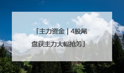 主力资金｜4股尾盘获主力大幅抢筹