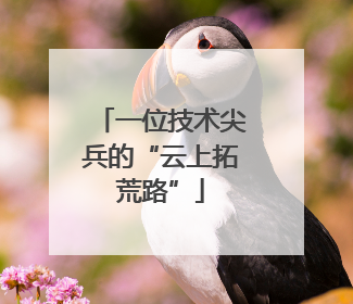 一位技术尖兵的“云上拓荒路”