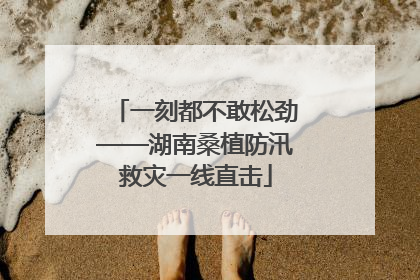 一刻都不敢松劲——湖南桑植防汛救灾一线直击