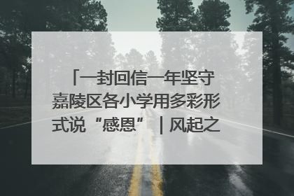 一封回信一年坚守 嘉陵区各小学用多彩形式说“感恩”｜风起之江 扶摇直上