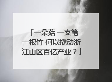 一朵菇 一支笔 一根竹 何以撬动浙江山区百亿产业？