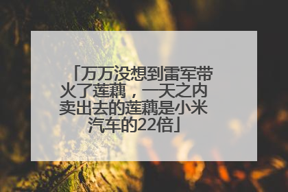 万万没想到雷军带火了莲藕，一天之内卖出去的莲藕是小米汽车的22倍