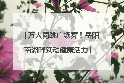 万人同跳广场舞！岳阳南湖畔跃动健康活力