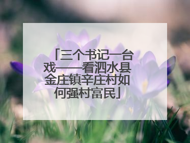 三个书记一台戏——看泗水县金庄镇辛庄村如何强村富民