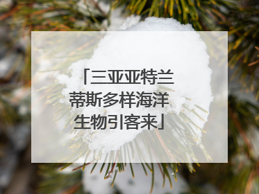 三亚亚特兰蒂斯多样海洋生物引客来