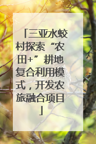 三亚水蛟村探索“农田+”耕地复合利用模式，开发农旅融合项目