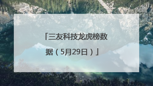 三友科技龙虎榜数据（5月29日）