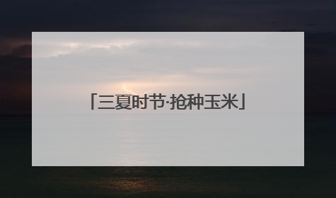 三夏时节·抢种玉米