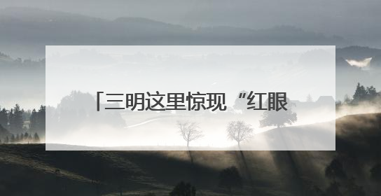 三明这里惊现“红眼蝉”！它很神秘，被誉为“最美知了”