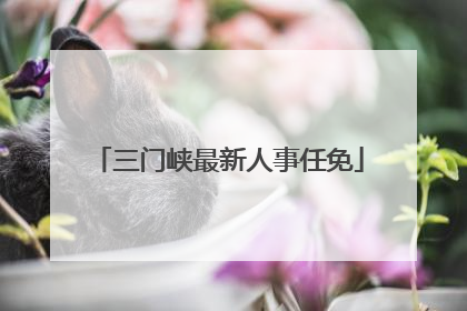 三门峡最新人事任免