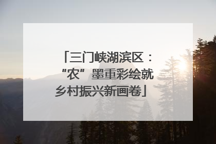 三门峡湖滨区：“农”墨重彩绘就乡村振兴新画卷