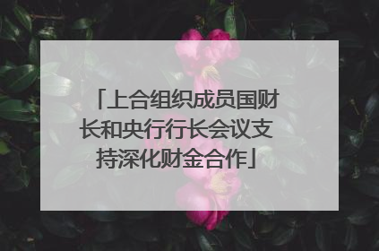 上合组织成员国财长和央行行长会议支持深化财金合作