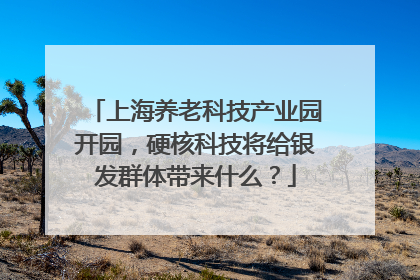 上海养老科技产业园开园，硬核科技将给银发群体带来什么？