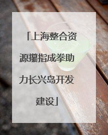 上海整合资源攥指成拳助力长兴岛开发建设
