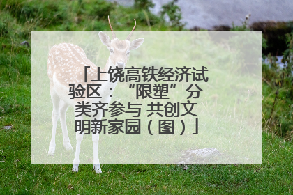 上饶高铁经济试验区：“限塑”分类齐参与 共创文明新家园（图）