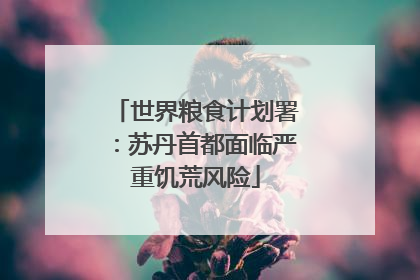 世界粮食计划署：苏丹首都面临严重饥荒风险