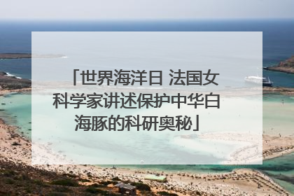 世界海洋日 法国女科学家讲述保护中华白海豚的科研奥秘