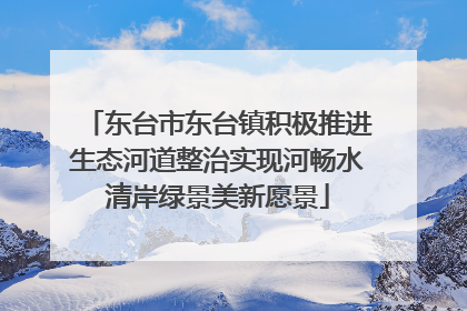 东台市东台镇积极推进生态河道整治实现河畅水清岸绿景美新愿景