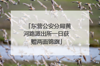 东营公安分局黄河路派出所一日获赠两面锦旗