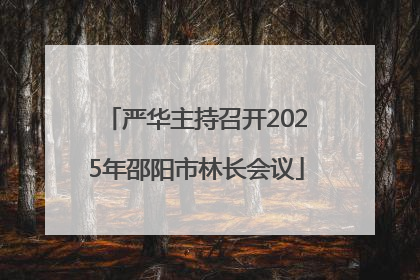 严华主持召开2025年邵阳市林长会议