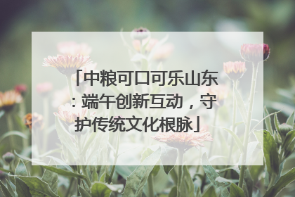中粮可口可乐山东：端午创新互动，守护传统文化根脉