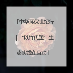 中华环保世纪行｜“以竹代塑”生态实践在宜宾