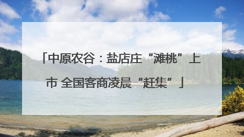 中原农谷：盐店庄“滩桃”上市 全国客商凌晨“赶集”