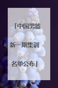 中国男篮新一期集训名单公布