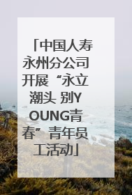中国人寿永州分公司开展“永立潮头 别YOUNG青春”青年员工活动