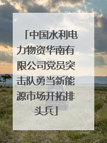 中国水利电力物资华南有限公司党员突击队勇当新能源市场开拓排头兵