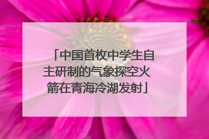 中国首枚中学生自主研制的气象探空火箭在青海冷湖发射