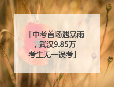 中考首场遇暴雨，武汉9.85万考生无一误考