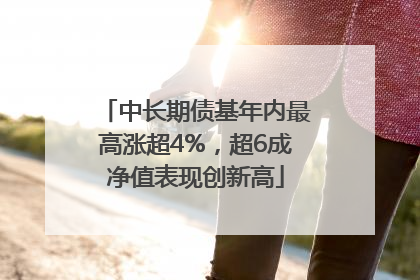 中长期债基年内最高涨超4%，超6成净值表现创新高