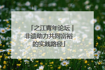 之江青年论坛｜非遗助力共同富裕的实践路径