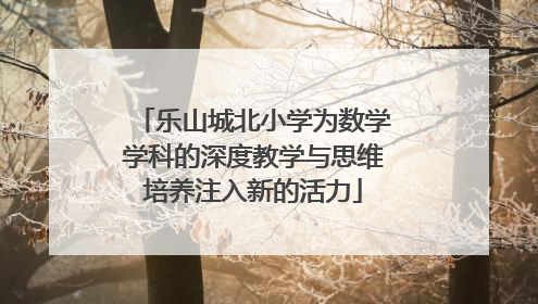 乐山城北小学为数学学科的深度教学与思维培养注入新的活力
