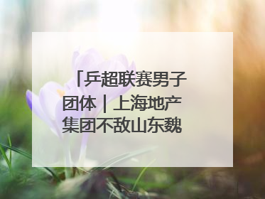 乒超联赛男子团体｜上海地产集团不敌山东魏桥·向尚运动