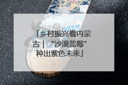 乡村振兴看内蒙古｜“沙漠蓝莓”种出紫色未来